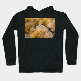 tussock Hoodie